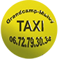Logo taxi